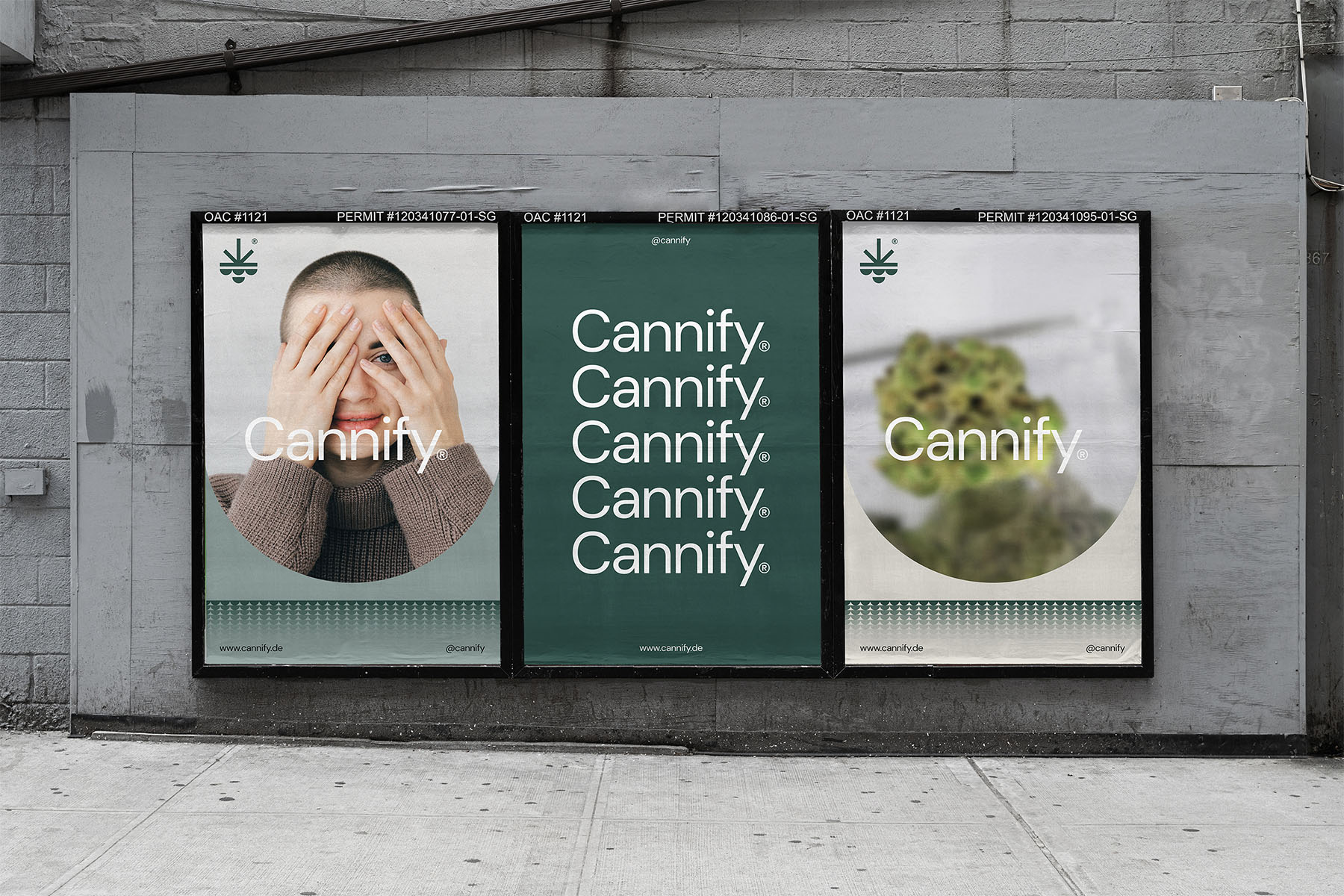 Cannify posters on wall