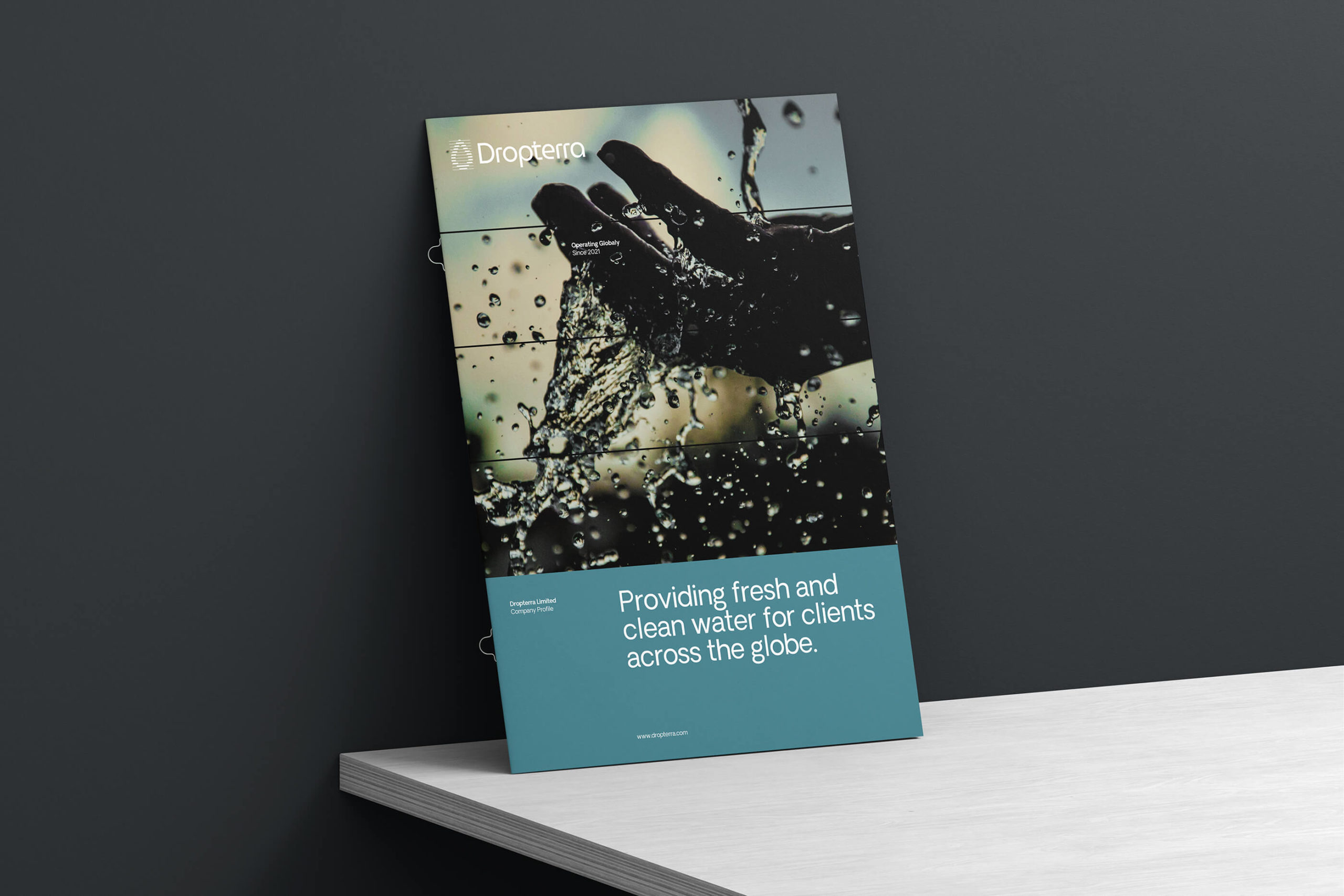 Dropterra company profile book cover