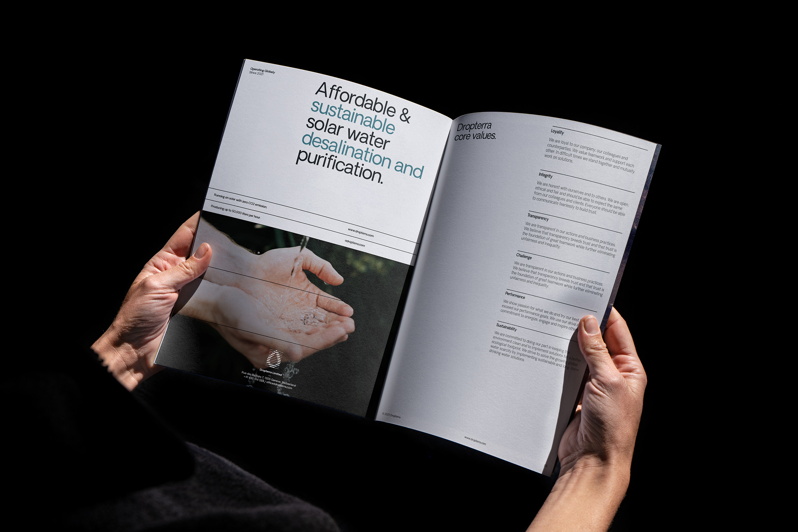 Dropterra company profile opened