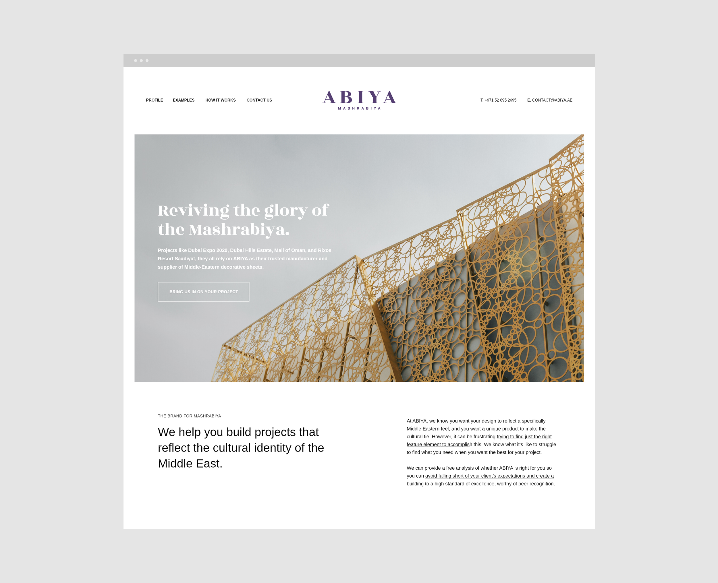 Abiya website preview