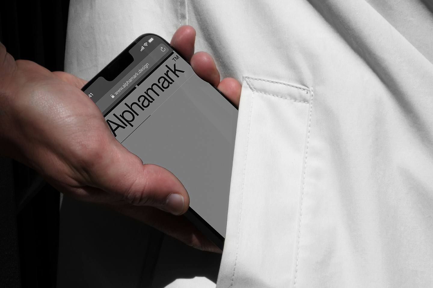 Alphamark loading screen on mobile preview