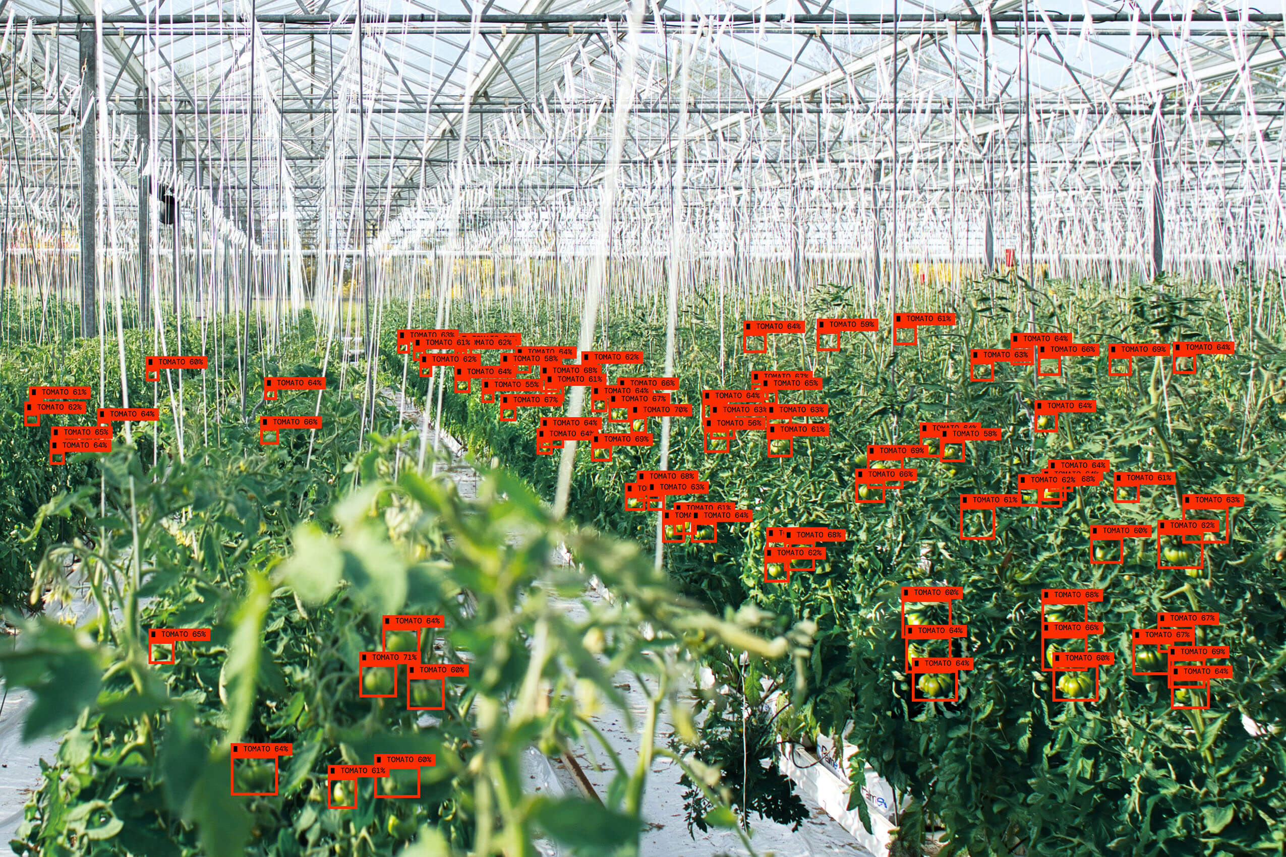 Monobotics plants highlighting