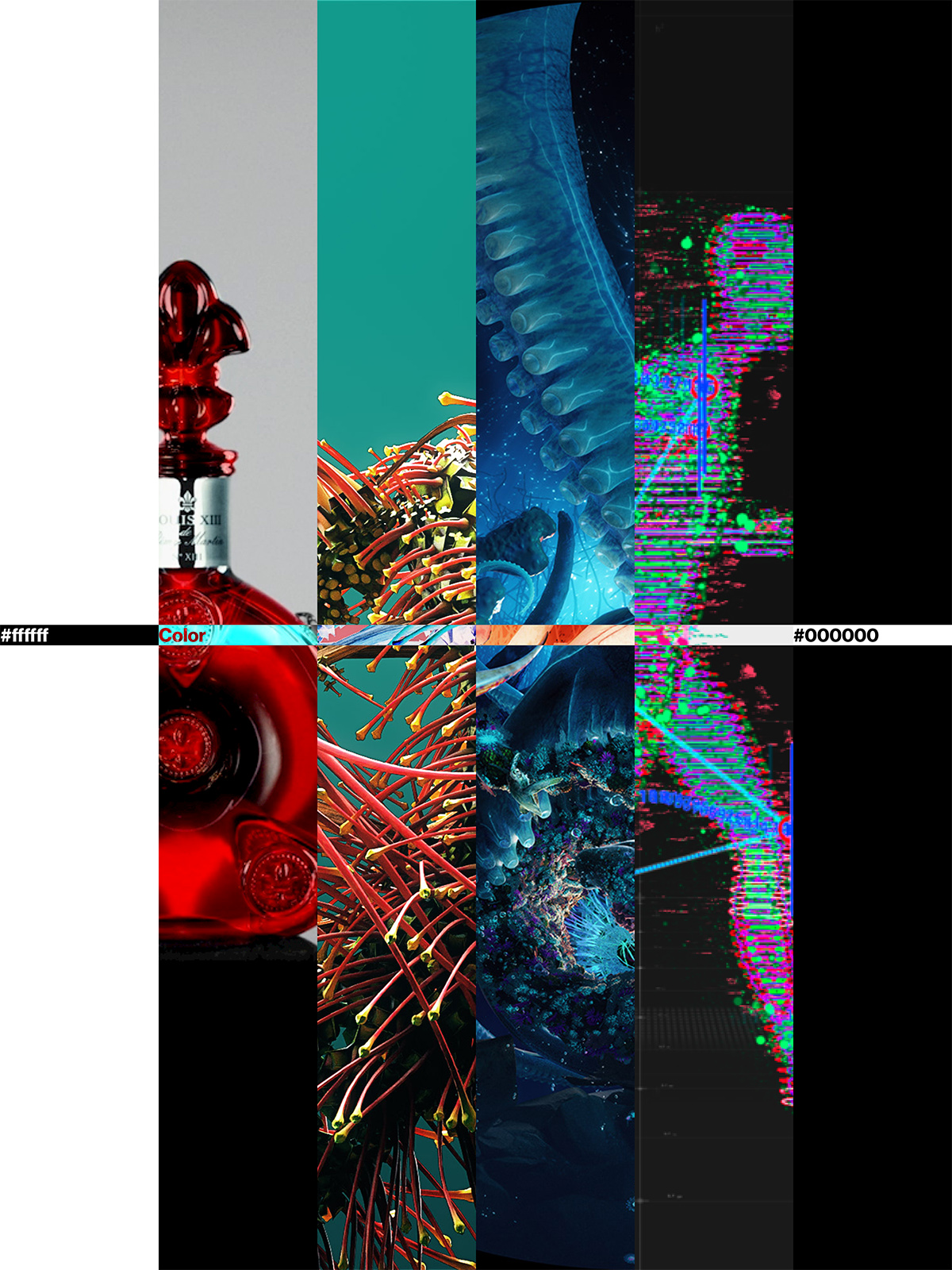 Bemo brand colors showcase