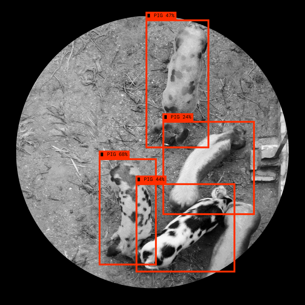 Monobotics AI in use explorations