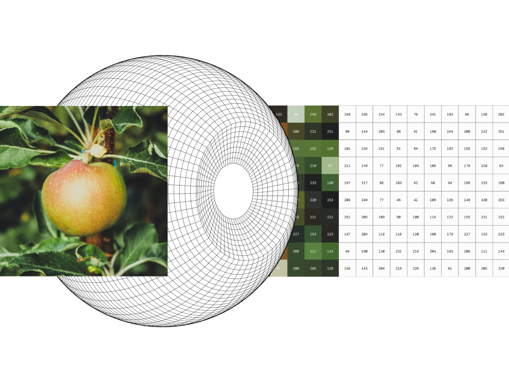 Monobotics AI perception