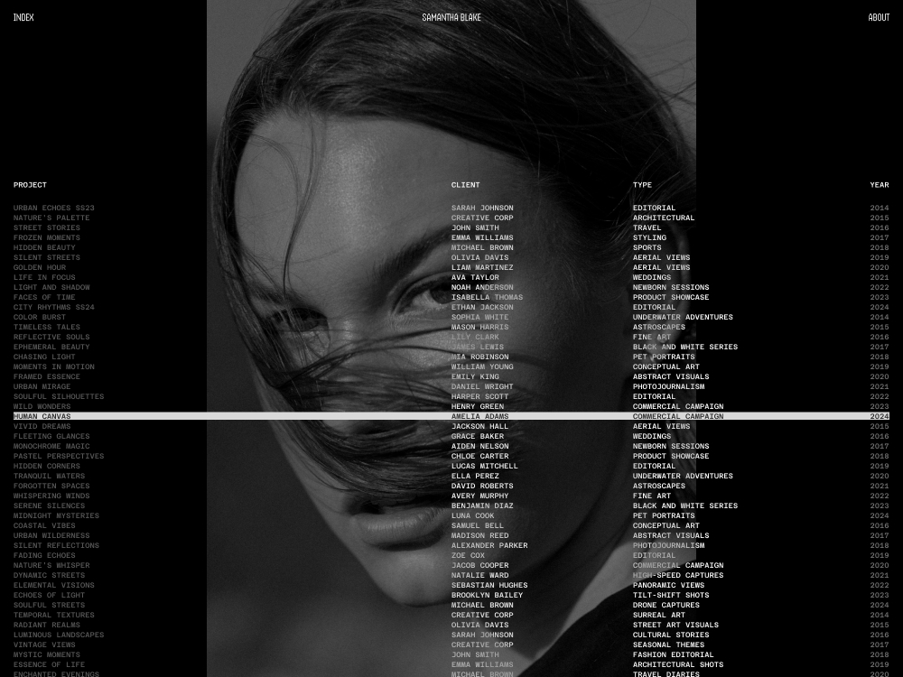 Bemo projects review