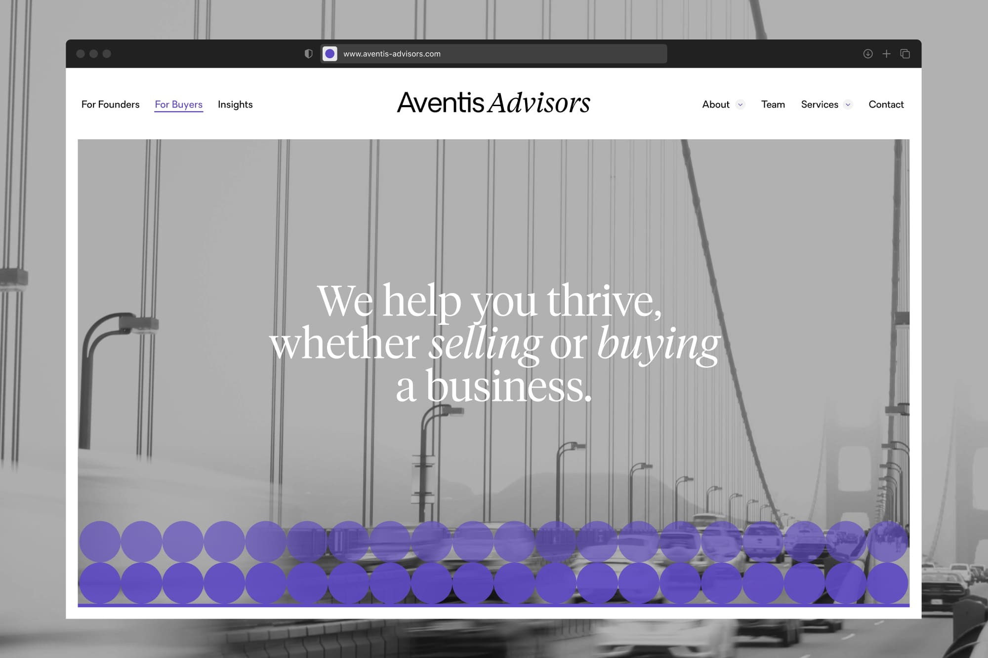 Aventis web header view