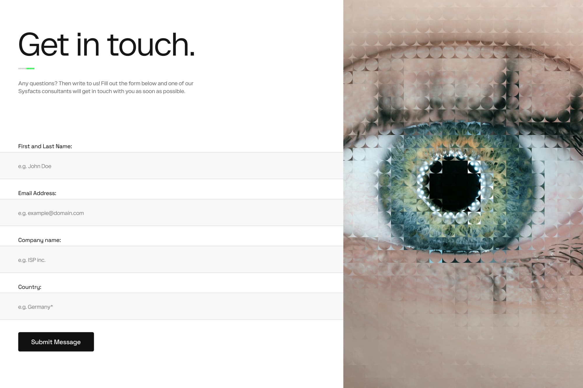 Sysfacts contact form preview